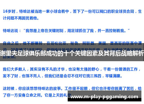 谢里夫足球俱乐部成功的十个关键因素及其背后战略解析