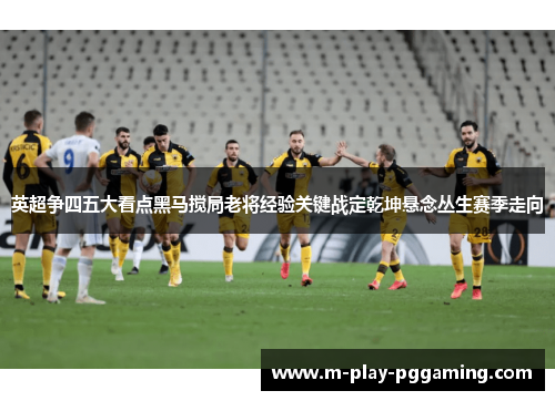 英超争四五大看点黑马搅局老将经验关键战定乾坤悬念丛生赛季走向