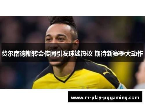 费尔南德斯转会传闻引发球迷热议 期待新赛季大动作