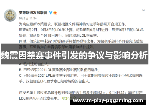 魏震因禁赛事件引发的争议与影响分析